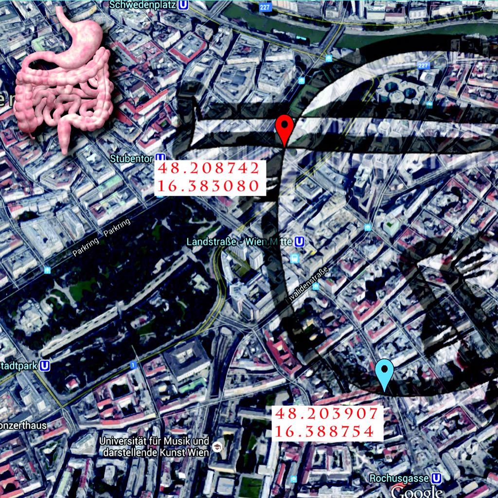 #tarwuk #vienna #firstshow #newcity #excited <a href="/Pony_Project/">Pony Project</a>