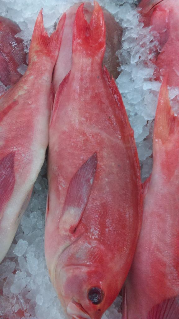 One Fish Market (@onefishmarket) / Posts / X