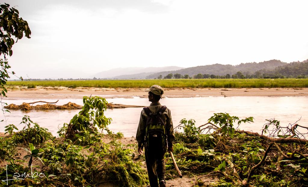 LamboLens tweet media