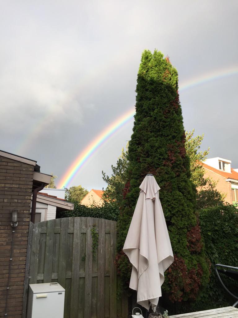 Bron: Wouter Theijsmeijer