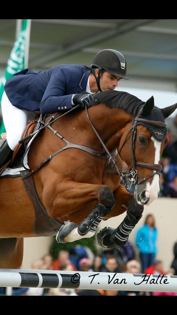 Jordan Stephex GP @COBImprensa <a href="/CBH/">Cameron Hunter</a> #rolex #samshield #hermes <a href="/equifit/">EquiFit</a> #ssg #dy'on #teamRP <a href="/Tiffanyvanhalle/">Tiffany Van Halle</a>
