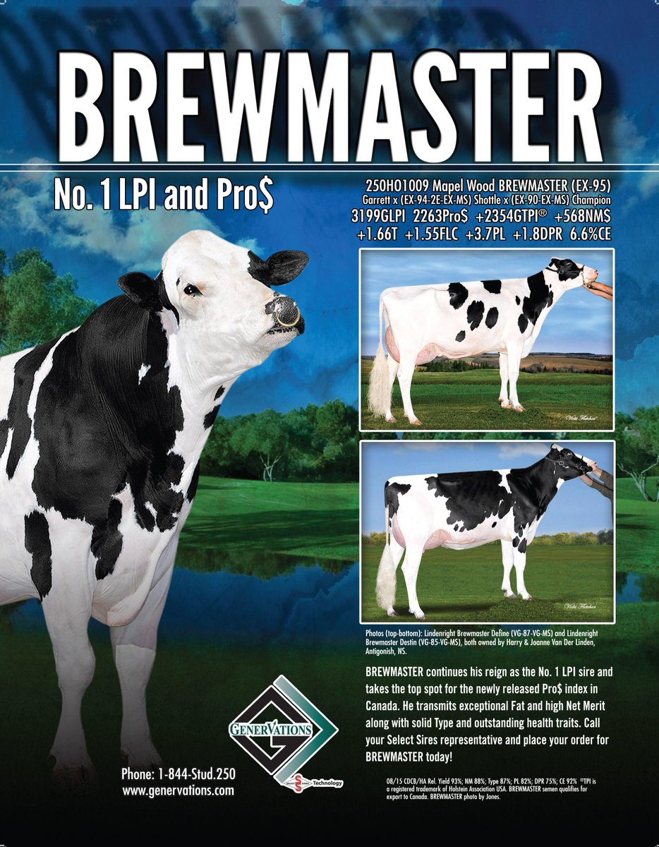 GenervationsInc's tweet photo. #BREWMASTER NO.1 LPI, NO. 1 PRO$, NO. 1 FAT sire in Canada. Elite Sire of sons from the Gypsy Grands with no Planet. http://t.co/na8S5LwQjm