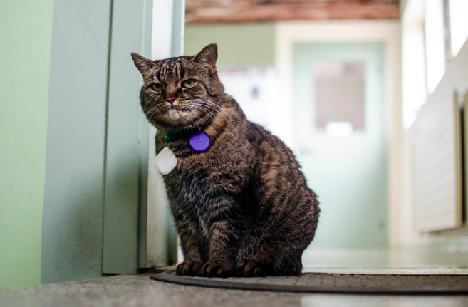 BlackRockSolar's tweet photo. RT @greenpeaceusa: It was a coal plant. Now it's a haven for artists, musicians ... and cats.  http://t.co/h40MHSkL10 http://t.co/JFgLMnNj6p