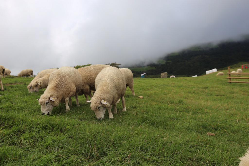 ju hi-young tweet media