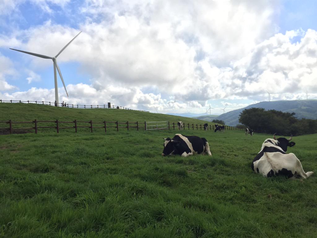 ju hi-young tweet media