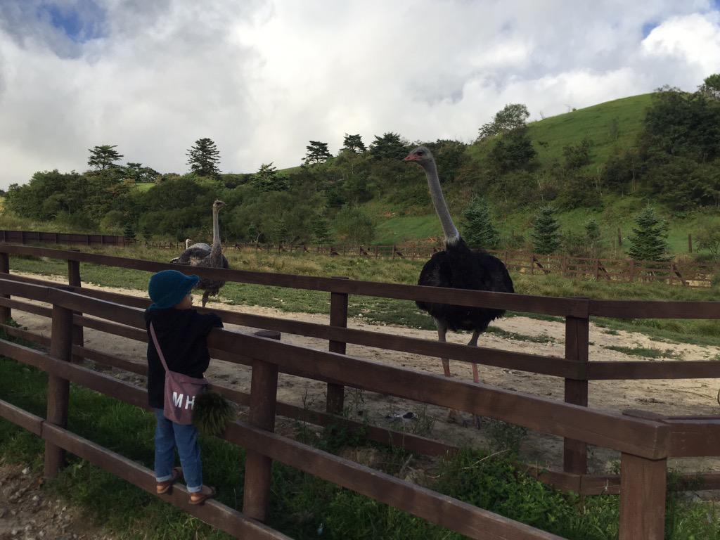 ju hi-young tweet media