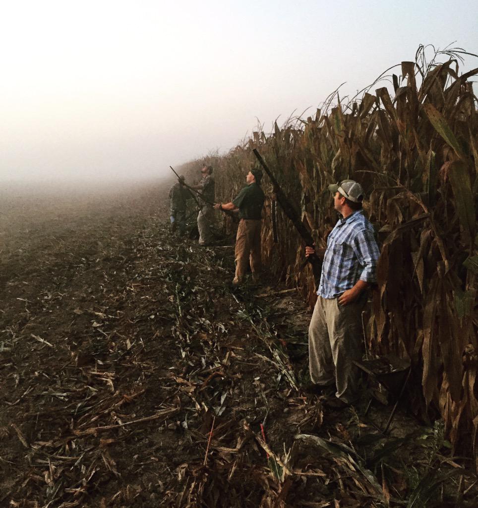 RazorbackWes's tweet photo. Opening morning Dove Hunt at Haleside #dovehunt2015#Haleside http://t.co/hZs63f0Tys