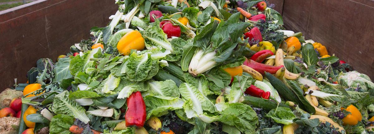 DaniNierenberg's tweet photo. Food waste should be saved b/c it can help our soil grow food: http://t.co/XHwqMN8WbQ @SusFoodTrust http://t.co/aq1X8ck9b5