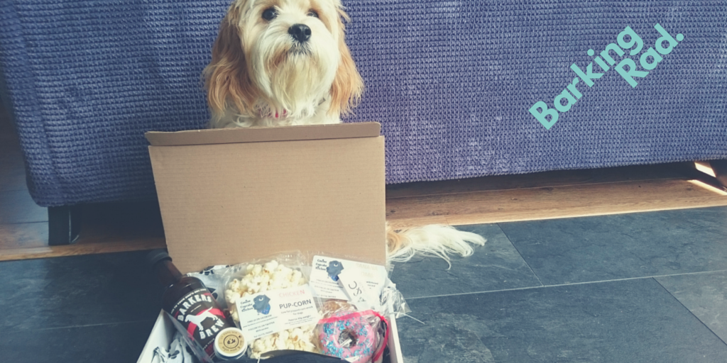Barking_Rad's tweet photo. Only 1 week left to grab a Sept #BarkingRad box http://t.co/hmVXR4xHJN. Think doggy beer and donuts plus lots more. http://t.co/ZO5BcG1Xgj