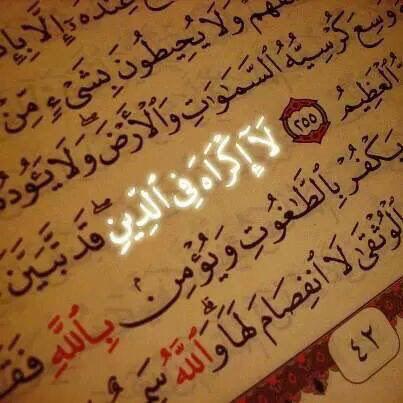 AryaPars's tweet photo. http://t.co/oFpv7llH6c