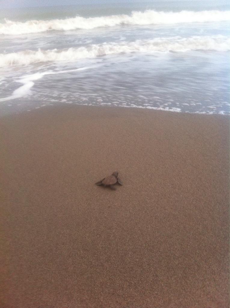 RivieraTours tweet media