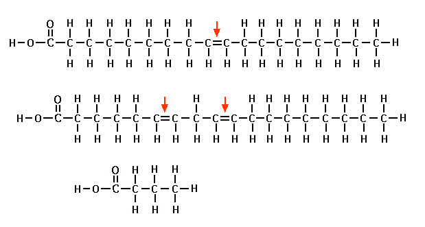 ReevesBiology's tweet photo. #biologyrox Which image shows a saturated lipid? How do you know? http://t.co/F1tslibb7i