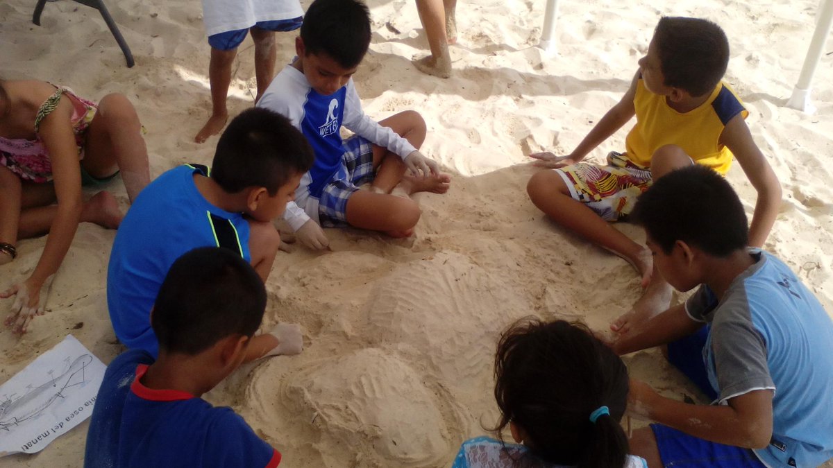 sharks_saving's tweet photo. En "De Vuelta al mar" festejamos el Día Nacional del #manatí! #PlayadelCarmen #CiudadEducadora http://t.co/sZ8ki2tK58