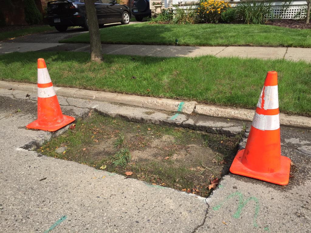 Sign that <a href="/DTE_Energy/">DTE_Energy</a> takes too long to patch their repairs??  The grass that is now growing in our street. #GRMI
