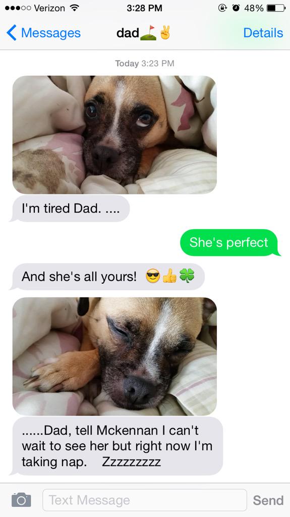 mwalton20's tweet photo. Getting texts like this of my dog are what make my day #dabooboo http://t.co/ctZJIpIY5l