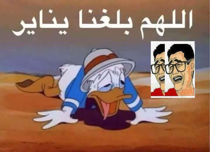 SassiBasim tweet picture