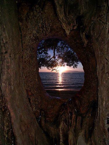 danielalippke's tweet photo. @DasFingertier @5jjjmd @ArcherValerie @finderfinder @zeren15 Hugs back, Claudia! TY,same 2u❤️ https://t.co/8Vos4Xp7f9 http://t.co/f45ZnBNTMf