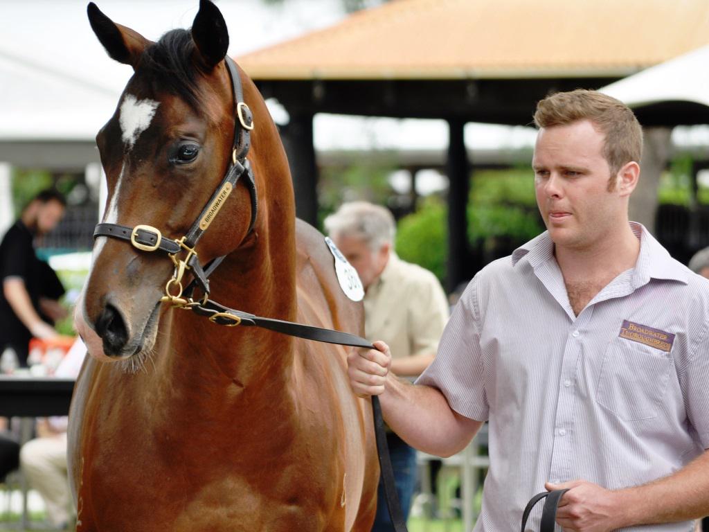 BhimaTBreds's tweet photo. With only a small field of 9 for the $1m G1 Golden Rose, excited to see our graduate Let's Make It Rain get a run http://t.co/jIuxEId6Nw