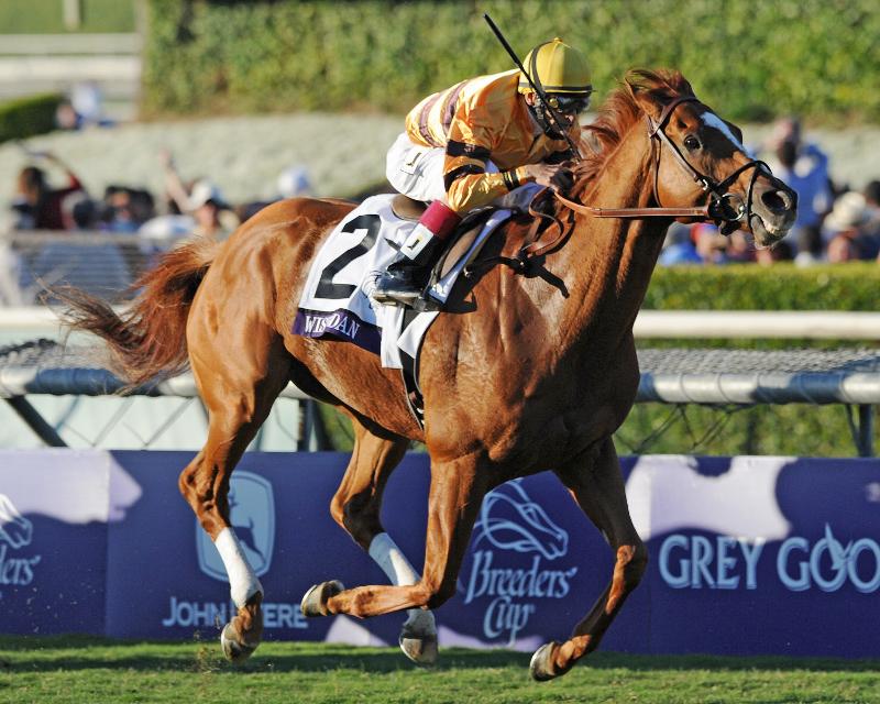 worldsbesthorse's tweet image. Wishing #WiseDan, America's Horse of the Year in 2012 &amp;amp; 2013, a very happy retirement. (Pic MK)