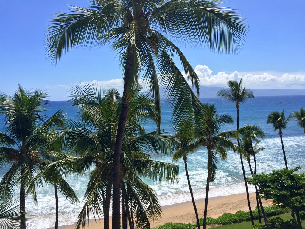 Jen Rhodes tweet media