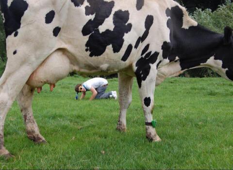 thestylesfandom's tweet image. WHY HARRY WHY 😂