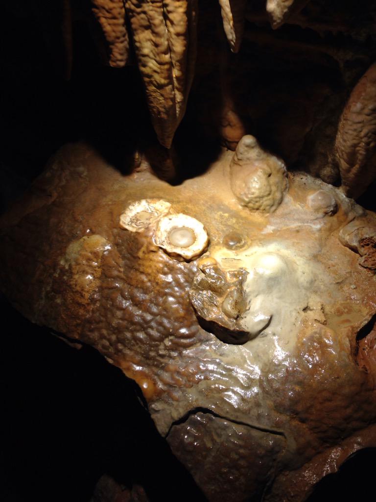 cbbrickell's tweet image. At luray caverns for vacation :)