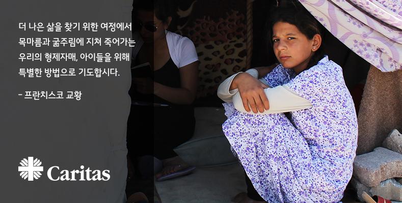 한국 카리타스 tweet media