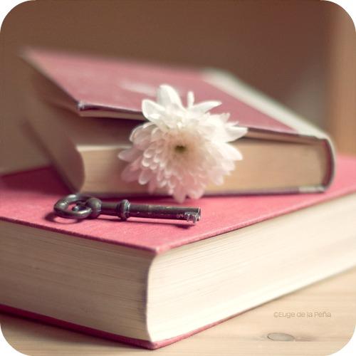 LeoTricarico_'s tweet image. #Talmente bello fu il convegno,#adottando una poesia al giorno,si rinfranca animo#avverbi#gerundi#scritturebrevi