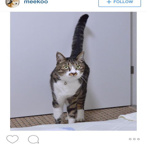 Sunnythebiker04 tweet media