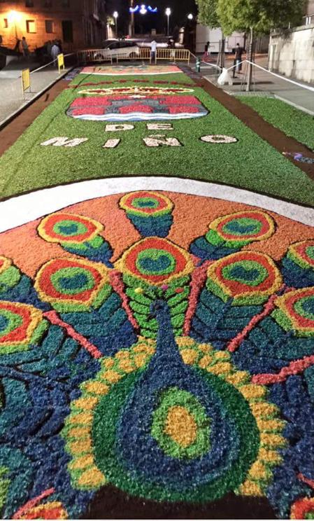 ribeirotwits's tweet photo. Rematada la alfombra floral en @ribadavia dedicada a @castreloinfo de miño http://t.co/v2iVEu1t64