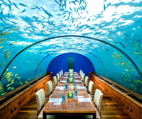 luxurytravel's tweet photo. Top 4 unique dining experiences in the Maldives http://t.co/BkGUlsNuFe http://t.co/zTKDdblLtj