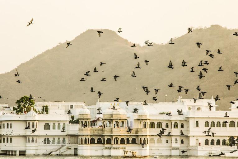 myPetVictoria's tweet photo. http://t.co/LoruvdoKK2 
Royal Rajasthan – Udaipur #City Travels #tripoto http://t.co/SIi1b7quxh