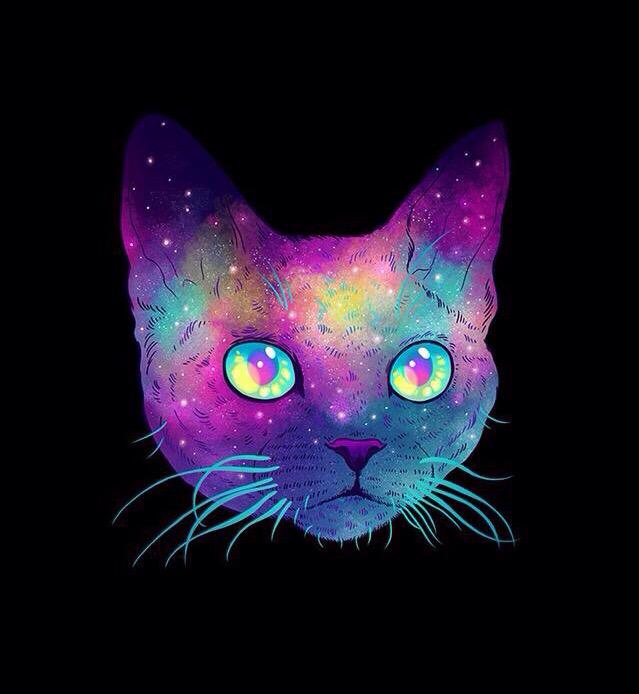 ThirdMindedCo's tweet photo. trippy kitty! 😺🌀 http://t.co/8WINDYlGZw