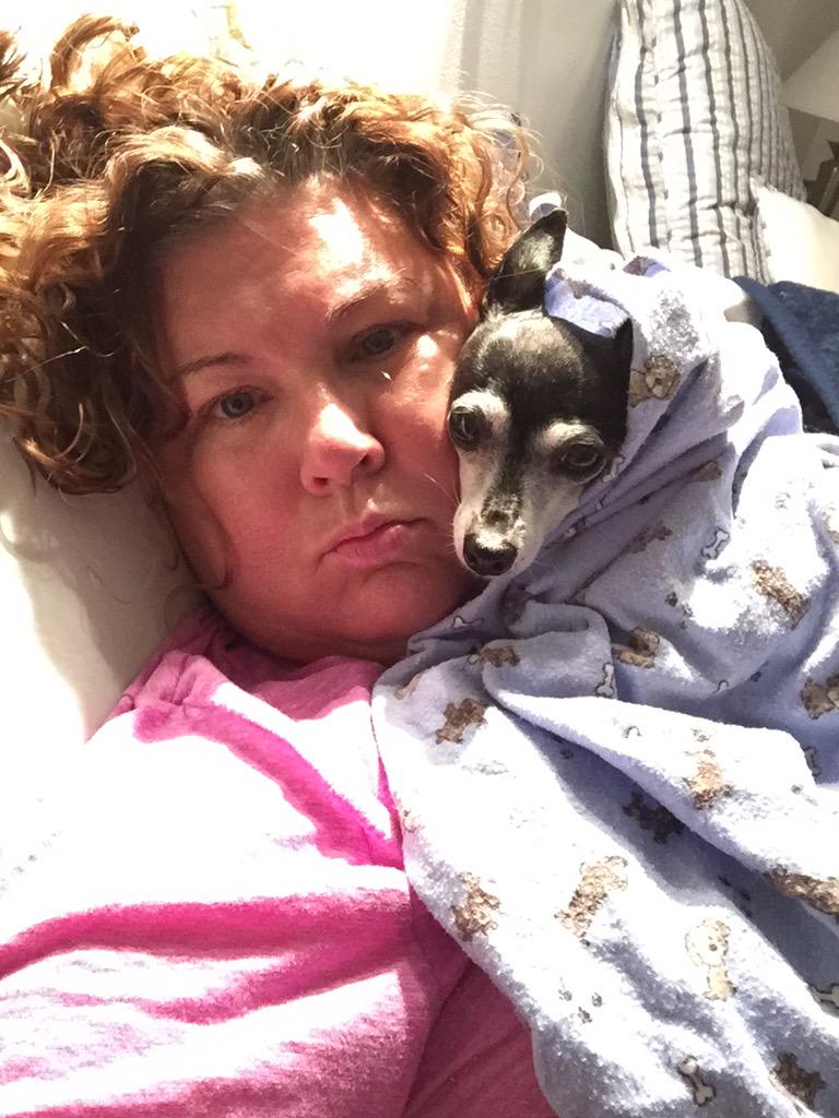 naynayboone's tweet image. #scaredofthunder #RattPack #RatTerrierLove @pack @ratterriercom #cuddling