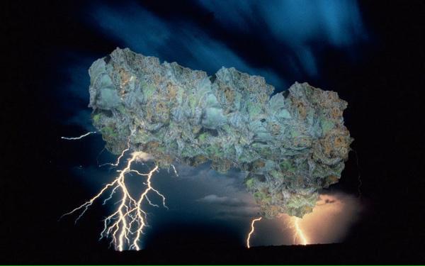 GeniusPothead 💹🧲 tweet media