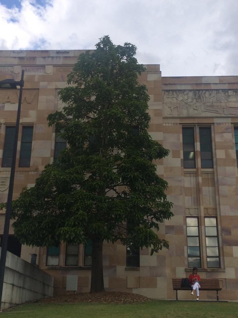 erinmalcomson's tweet photo. #uqspring http://t.co/tNfpPoS8oC