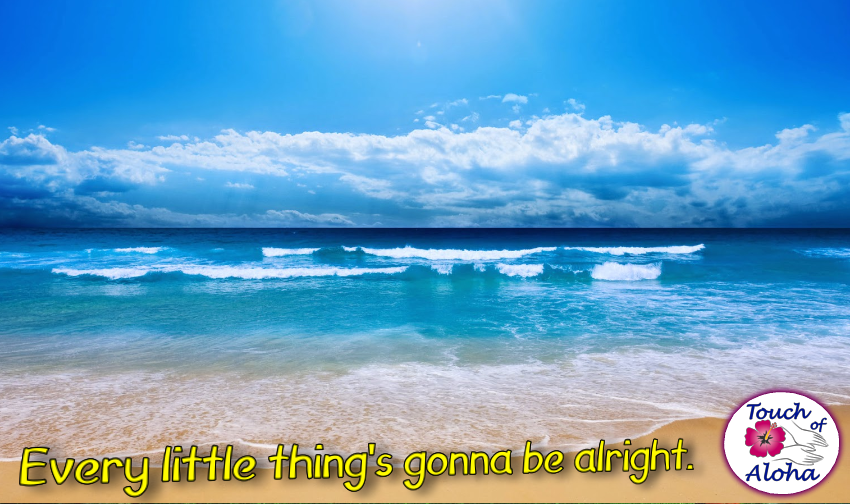 TouchOfAloha tweet picture