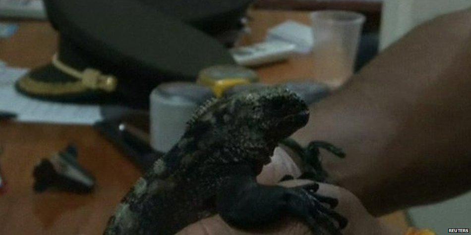 BBC News (World) tweet media