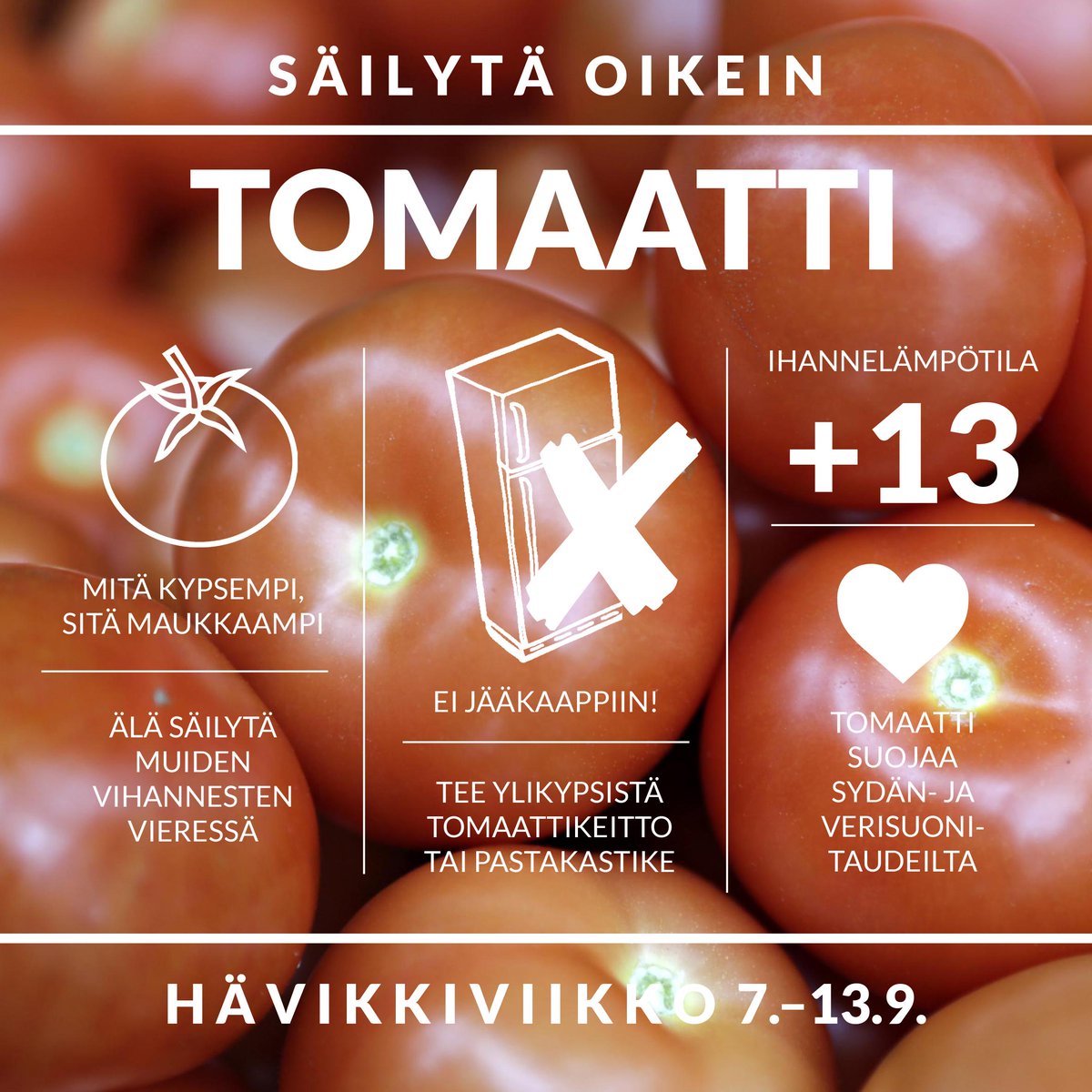 Säilytä tomaattisi oikein vähentääksesi hävikkiä! Ei jääkaappiin. #hävikkiviikko