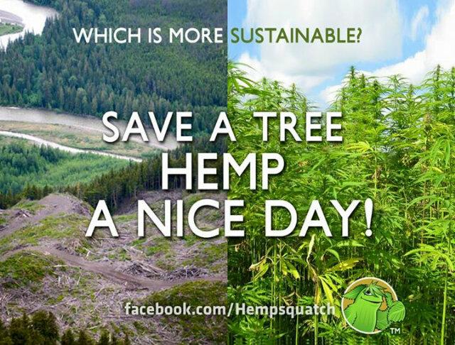 Maes_94809's tweet photo. Save The Planet...Plant Weed!!! http://t.co/BRI5E6cia7