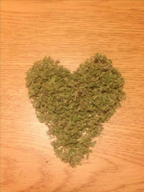 DHAWESOMESAM_ME's tweet photo. Repent homie "@lillrozay: Awake, Alive, Healthy and still #Bakingup. Thanks jah! #wakeNbake" http://t.co/hKJclkLWEP