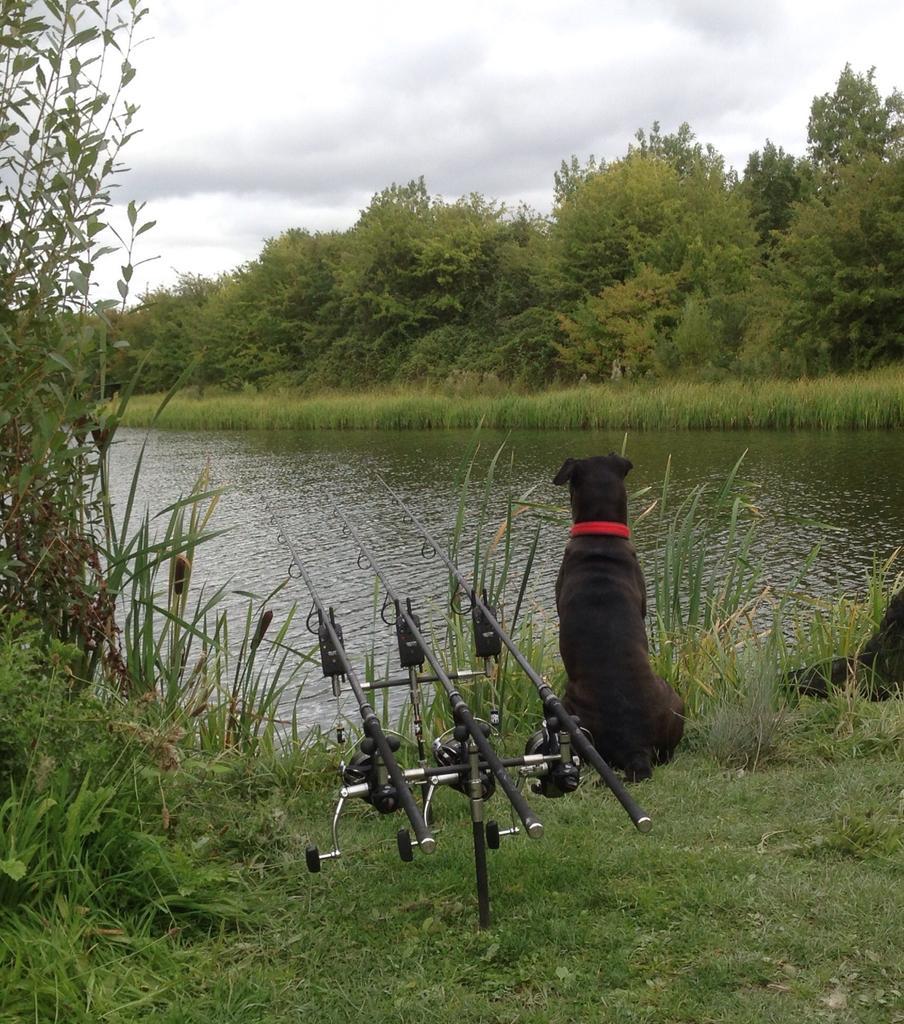 Was definitely jealous heading to work when I received this picture this morning!!
#fishing #carp