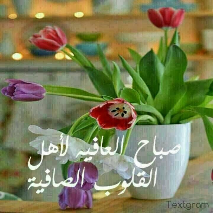صباح الخير والسعاده