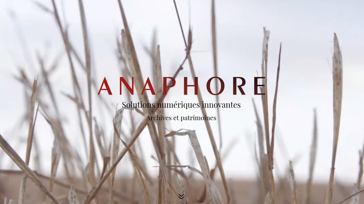 Anaphore tweet media
