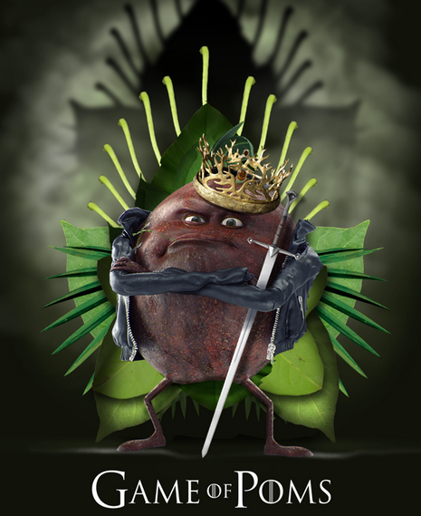 oasisbefruit's tweet photo. Ils vont tous mûrir dans Game of Poms ! #GameOfThrones http://t.co/3cES0MHjwO