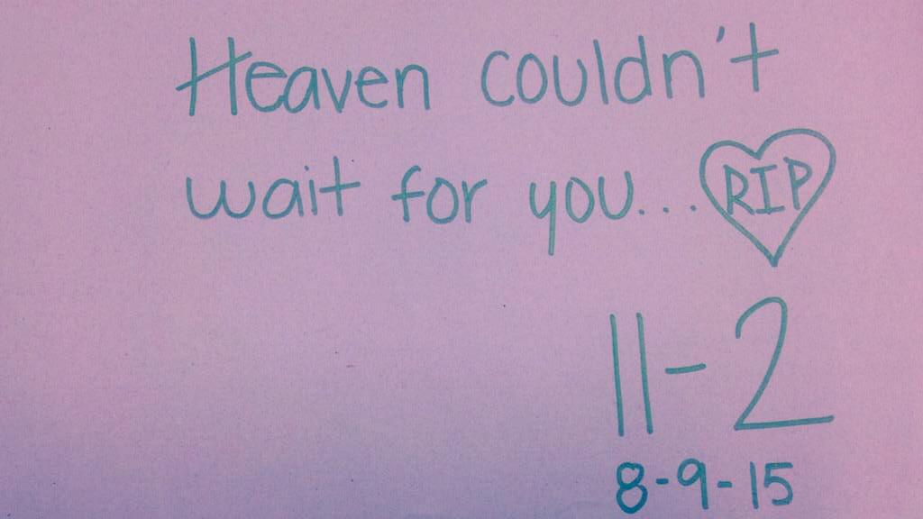 victoriajoglar's tweet image. Se ha escapado un angelito, mira en donde va, volando se ha ido...👼🏼 #RipJean #EdsjFamily💙💙💙