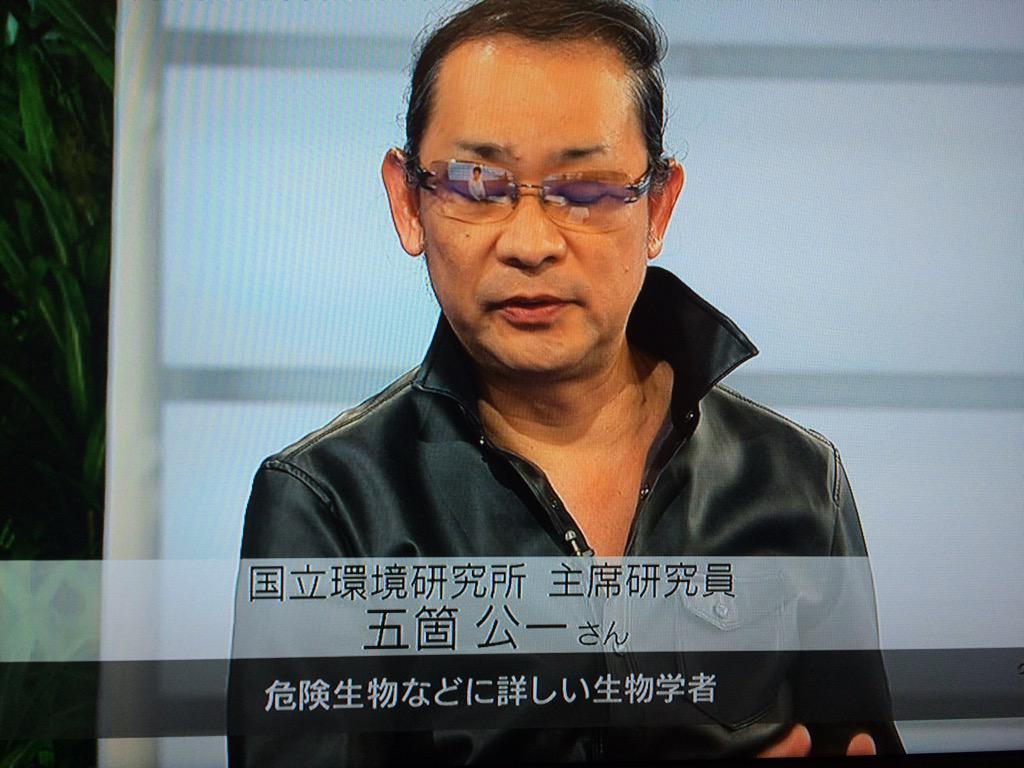 Nhkに出た国立環境研究所の主席研究員がインパクトがありすぎて話が頭に入ってこないと話題にwww Togetter Nhkに出た国立環境研究所の主席研究員がインパクトがありすぎて話が頭に入ってこないと話題にwww Togetter