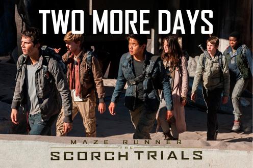 Cinema XXI on X: The maze was just the beginning. MAZE RUNNER: THE SCORCH  TRIALS tayang mulai 11 Sept 2015.    / X