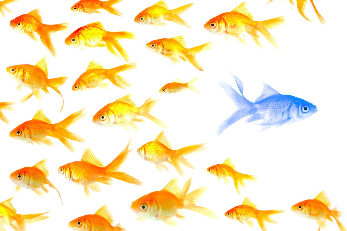 JGCommunication's tweet image. ”Do it differently!” Our Mikael Käll shares how you deliver a brand’s unique message in film. ow.ly/RUIHp