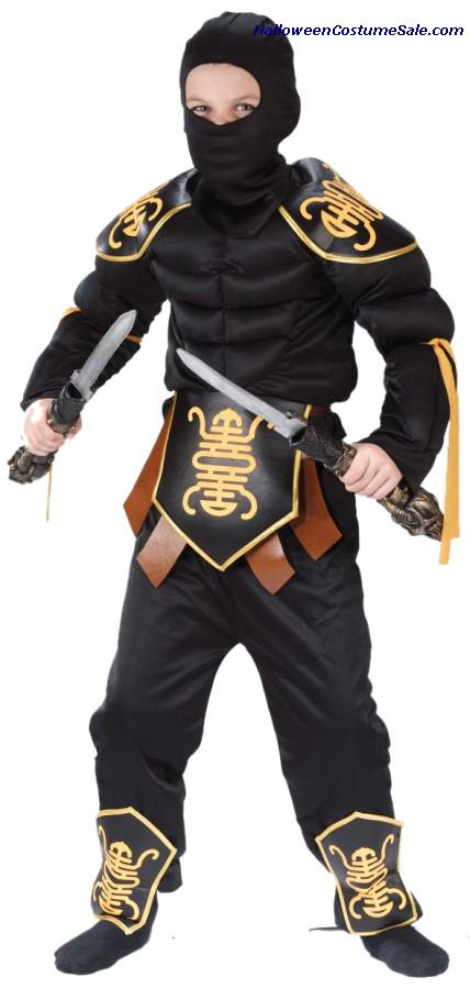 #buy #ninja #muscle chest #deluxe #warrior #child #costume 

$28.95
goo.gl/3WMBZW
